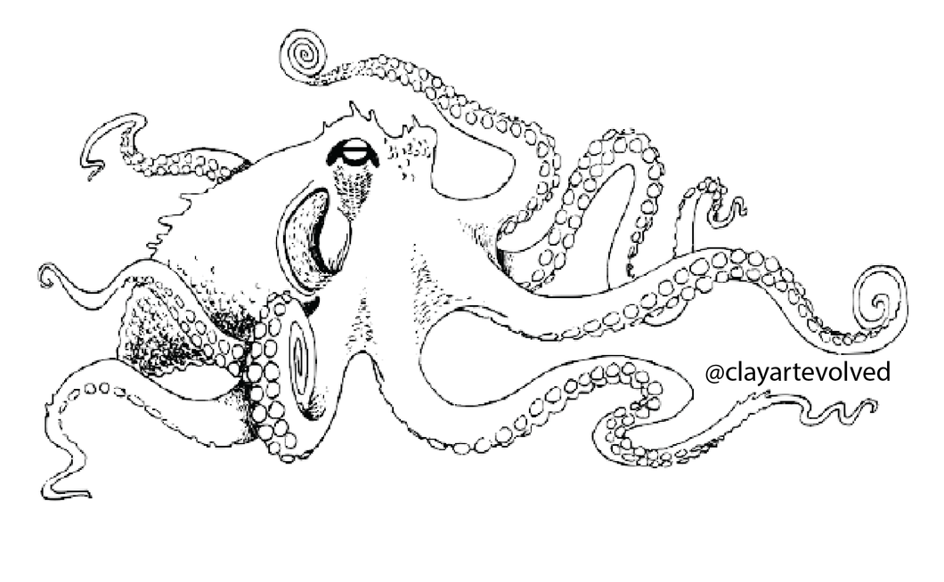 Black and white octopus sticker about 4x2 inches